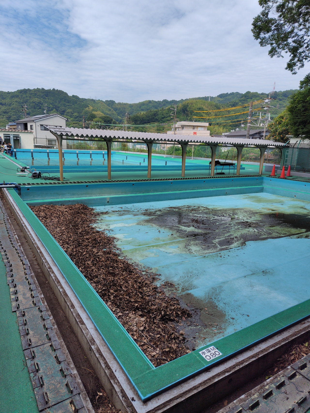 奉仕活動（静岡市立清水興津小学校）
